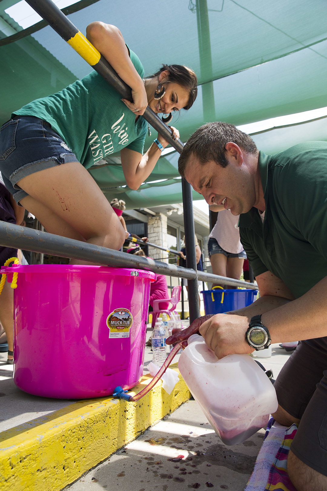 grape stomp